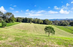 238 Diddillibah Road, Woombye, Qld 4559