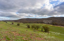 1705 Ngapala Road, Ngapala, SA 5374