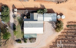 254 Dunstone Road, Barmera, SA 5345