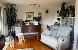 19 Forrest Street, Naracoopa, Tas 7256