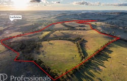 174 Emu Swamp Road, Orange, NSW 2800