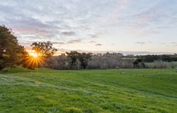89 Wedge Street, Kyneton, Vic 3444