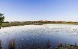 Valdora, Qld 4561