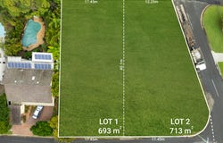 53 Kneale Street, Holland Park West, Qld 4121