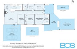 12 Tobys Boulevard, Mount Pritchard, NSW 2170