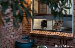 13 Lillyvicks Crescent, Ambarvale, NSW 2560
