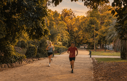 South Yarra, Vic 3141