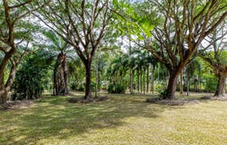 9 Palm Avenue, Mowbray, Qld 4877