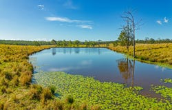 667 Beckmanns Road, Glenwood, Qld 4570