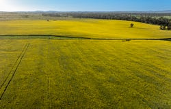 298 Eumungerie Road, Narromine, NSW 2821