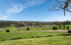 15 Mountain Vista, Orange, NSW 2800