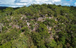 2965 Orara Way, Kremnos, NSW 2460
