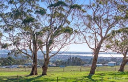 Holts Road, Elliminyt, Vic 3250
