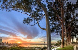 207/451 Murray Street, Perth, WA 6000