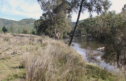 Lot 36 Reedy Creek Road, Tenterfield, NSW 2372