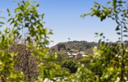 109 Long Street, South Toowoomba, Qld 4350