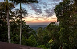 54 Justin Avenue, Tamborine Mountain, Qld 4272