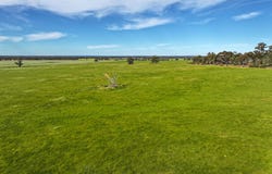9999 Plain Road, Cornella, Vic 3551