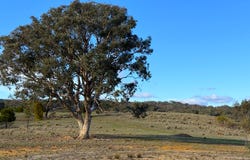 127a Corregans Road, Yass River, NSW 2582
