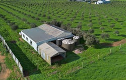 104 Schutt Road, Dublin, SA 5501