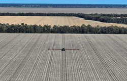 30286 CUNNINGHAM HIGHWAY, Goondiwindi, Qld 4390