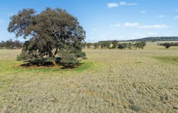 Lots 126 & 419 Of 2357 Henry Lawson Drive, Gulgong, NSW 2852
