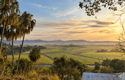 53 Ridgewood Drive, Farleigh, Qld 4741