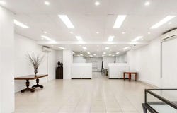 Shop 2, 118 Alfred Street, Milsons Point, NSW 2061
