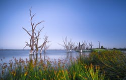 Lot 25 Queen Elizabeth Drive, Barmera, SA 5345