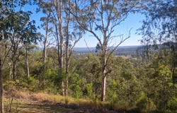 20 McKirdy Road, Palmtree, Qld 4352