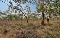 576 McAdam Road, Katherine, NT 0850
