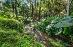 126 Harwood Road, Burringbar, NSW 2483