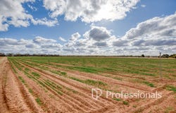 Cnr Norman Road, Merbein West, Vic 3505