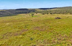 Lots 14,45,48,51,58 Capricorn Hwy, Westwood, Qld 4702