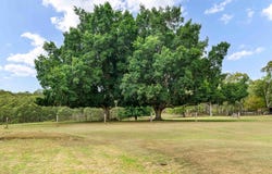 427 Wollombi Road, Farley, NSW 2320