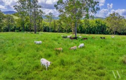 4015 Mary Valley Road, Brooloo, Qld 4570