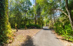 40 Reids Road, West Woombye, Qld 4559