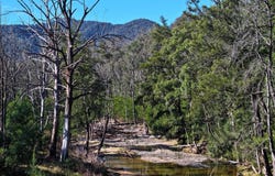 Lot 4 Araluen Road, Araluen, NSW 2622