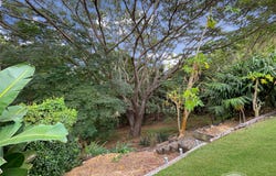 10 Doyle Street, Mareeba, Qld 4880