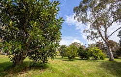 PL 231 / 31 Eucalyptus Court, Margaret River, WA 6285
