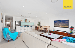 20 Woodburn Street, Colebee, NSW 2761