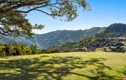 235 Limpinwood Valley Road, Limpinwood, NSW 2484