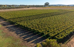 Lot 131, West Swan Road, Belhus, WA 6069