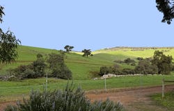 469 Smith Road, Bullsbrook, WA 6084