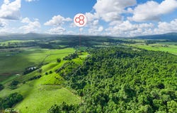 93 Mena Creek Road, Mena Creek, Qld 4871