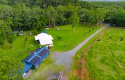 633 Cape Tribulation Road, Kimberley, Daintree, Qld 4873