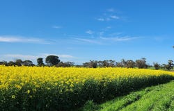 545 Railz Road, Coonalpyn, SA 5265