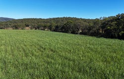 198 Campbells Crebers Road, Carmila, Qld 4739