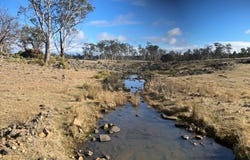 1561 Dennistoun Road, Bothwell, Tas 7030