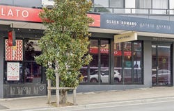 32-34 Perouse Road, Randwick, NSW 2031
